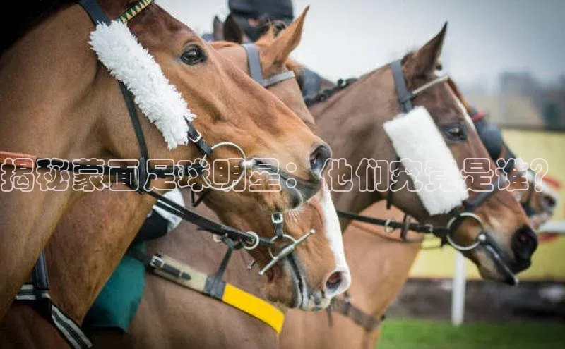 欧亿app官网下载歌力思揭秘蒙面足球明星：他们究竟是谁？