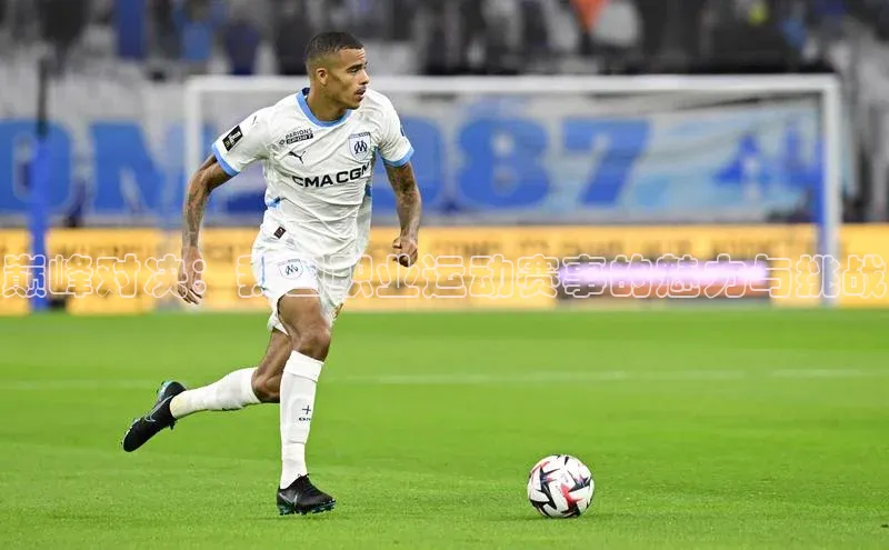 巅峰对决：我国职业运动赛事的魅力与挑战