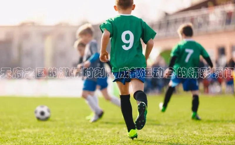 天府之国的激情时刻：成都运动会的精彩瞬间