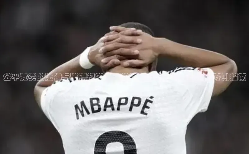 公平竞赛的法律与道德规范：一份完整的运动赛事裁判员守则指南