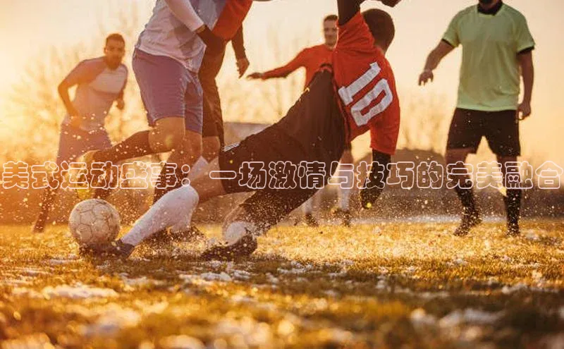 美式运动盛事：一场激情与技巧的完美融合