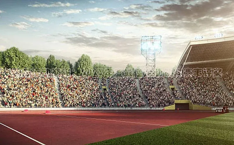 劲爆运动巅峰：2023年度最佳运动饮料赛事评奖