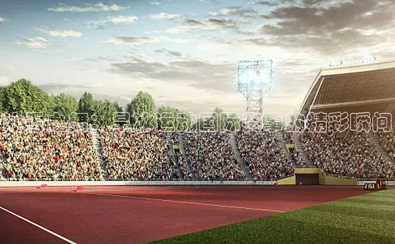 冰雪之舞：旱冰运动国际赛事的精彩瞬间