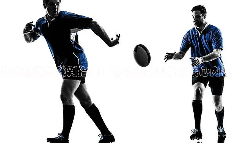 比赛规则与裁判指南：运动赛事手册的核心内容