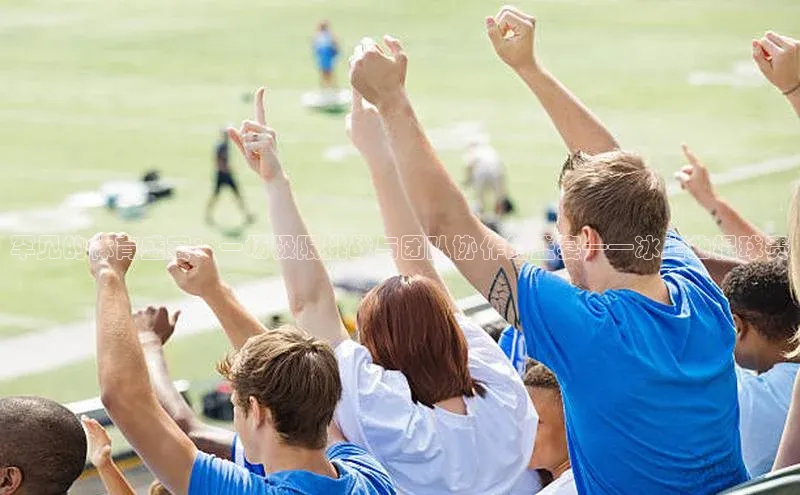 罕见的体育盛宴：一场极限挑战与团队协作的盛宴——冰上曲棍球赛