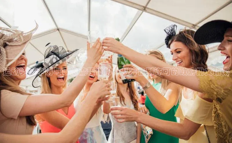 运动赛事申请与审批流程详解：从筹备到许可的政府批文指南