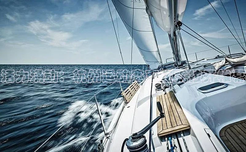 活力涌动：杭州运动赛事正式拉开帷幕