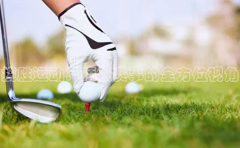 揽胜运动：顶级赛事的全方位视角